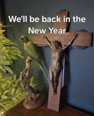 Back in the New Year