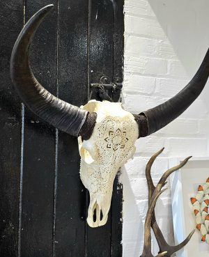 Carved Asian Water Buffalo Skull