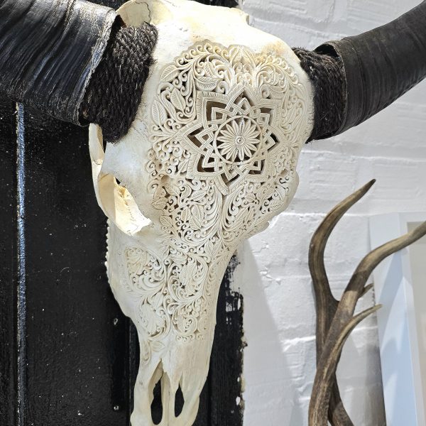 Carved Asian Water Buffalo Skull - Image 2