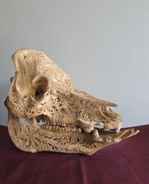 Expertly Carved Vintage Pig Skull
