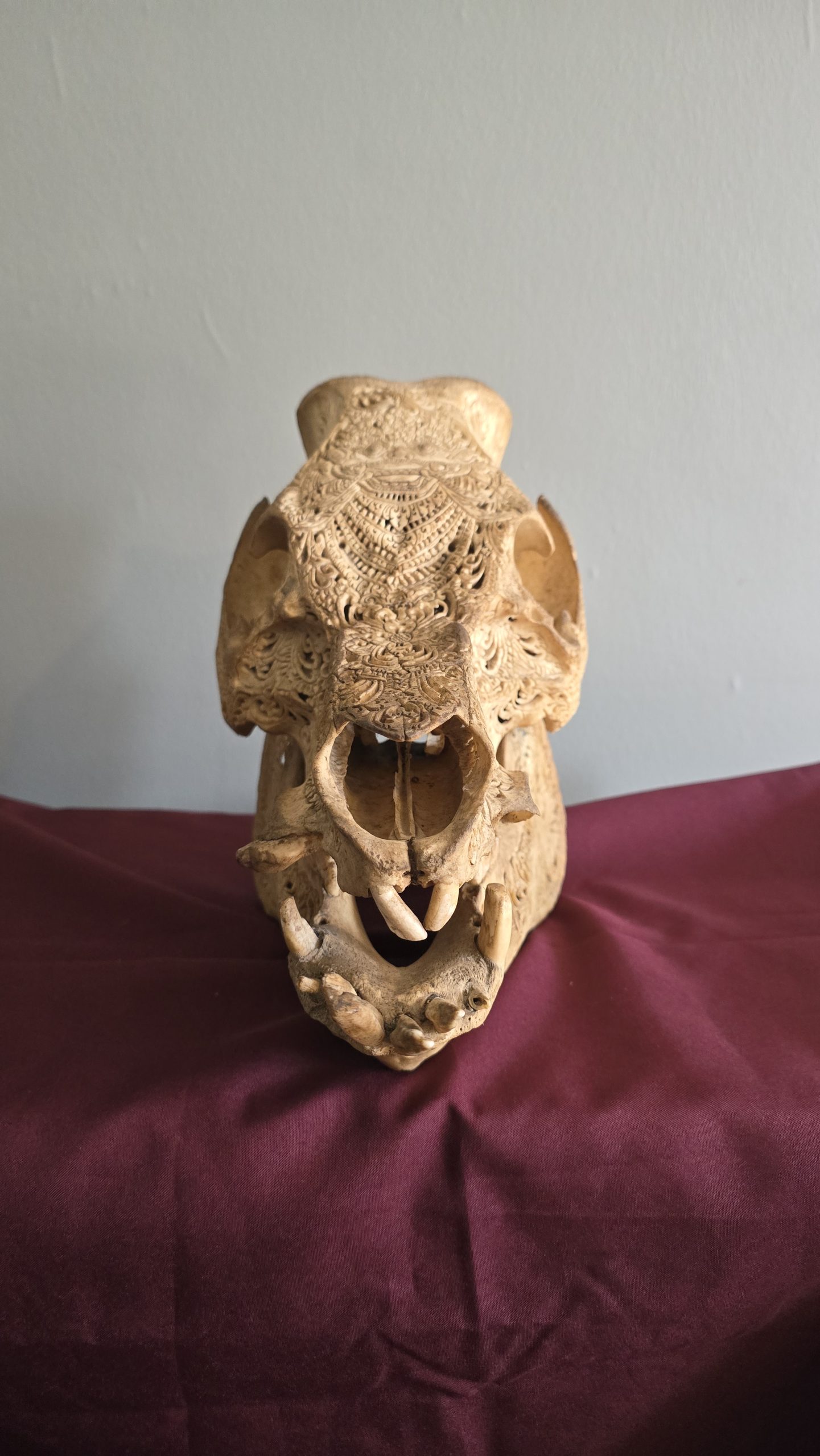 Expertly Carved Vintage Pig Skull - Image 3