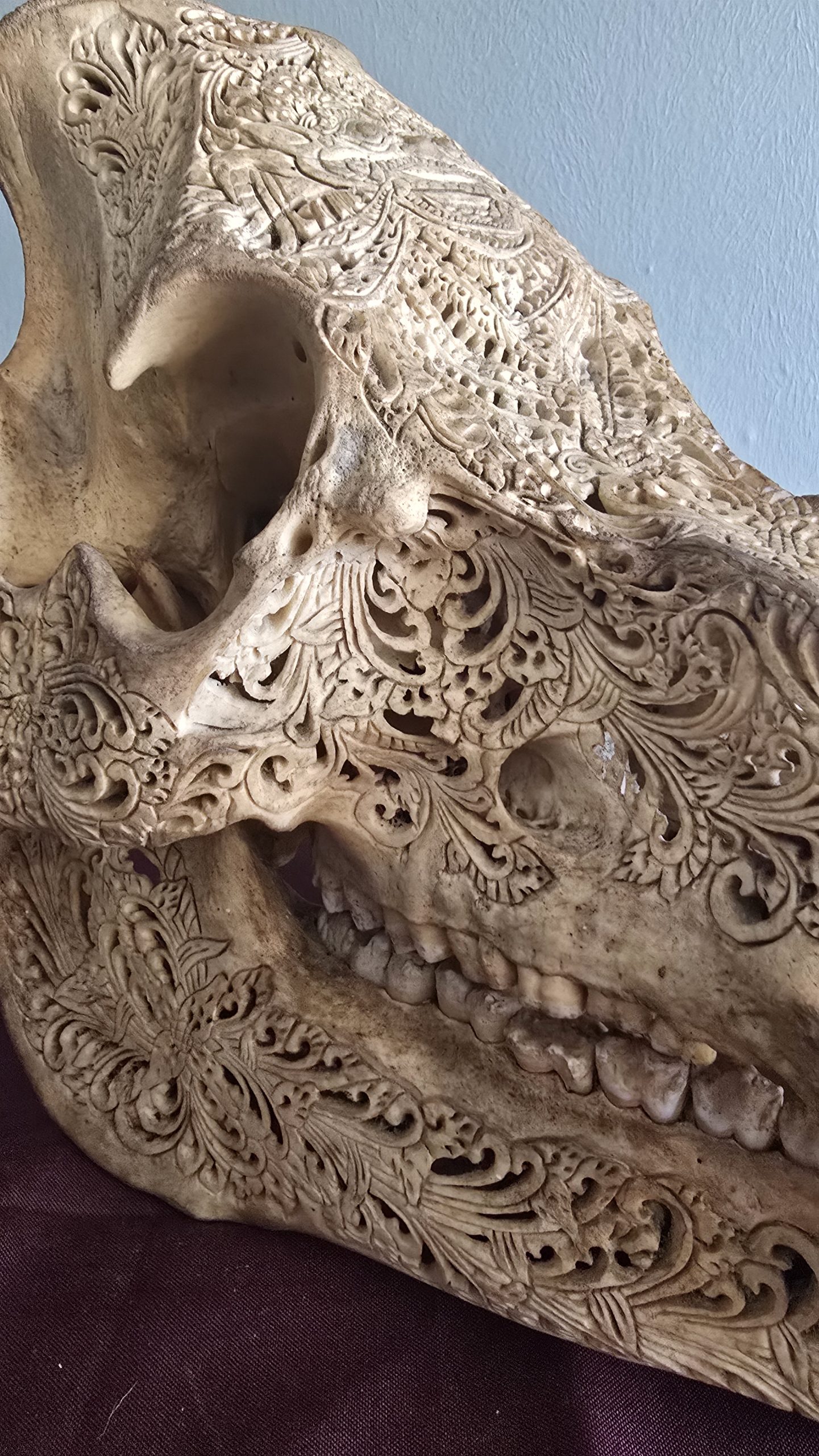 Expertly Carved Vintage Pig Skull - Image 5
