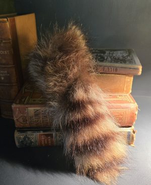 Racoon Tail