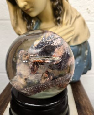 XL Colorful Chameleon