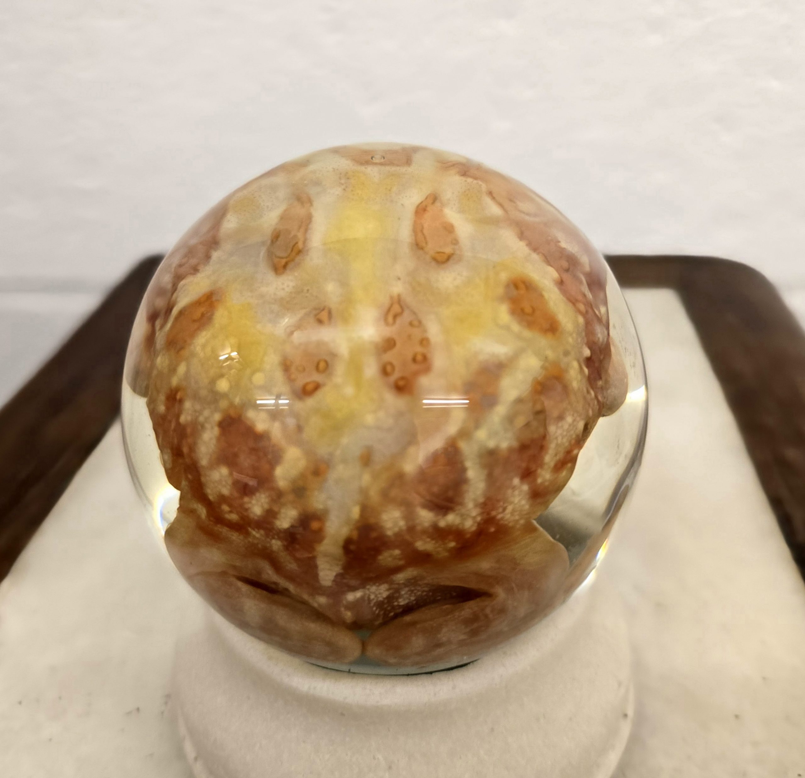 HypnoToad (Pacman) - Image 3