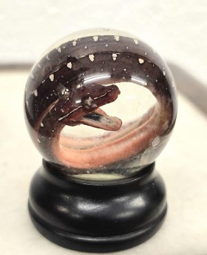 Green Tree Python Hatch Deep Red Mouth Open