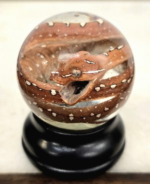 Green Tree Python Hatch Light Red Mouth Open